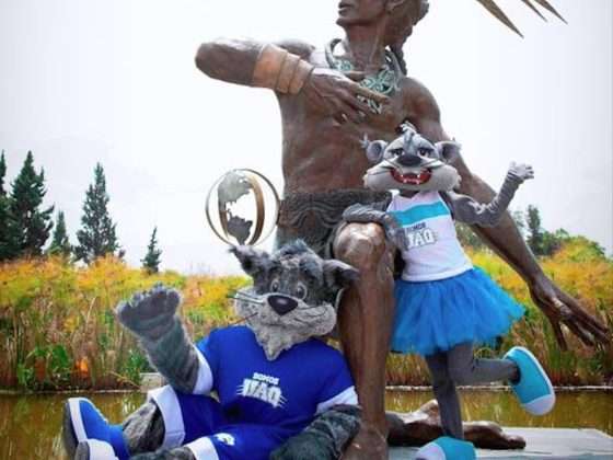 mascotas