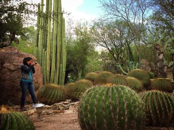 ¿Ya conoces el Jardín Botánico Regional de Cadereyta? 19 Jardín Botánico Regional de Cadereyta