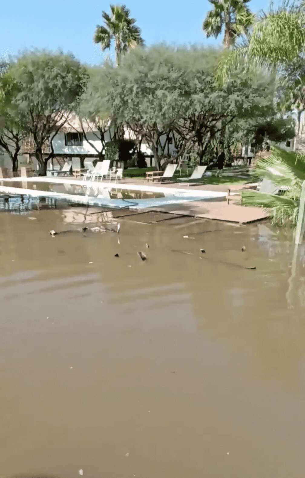 Isla Tzibanzá casi bajo el agua 17 Tzibanzá