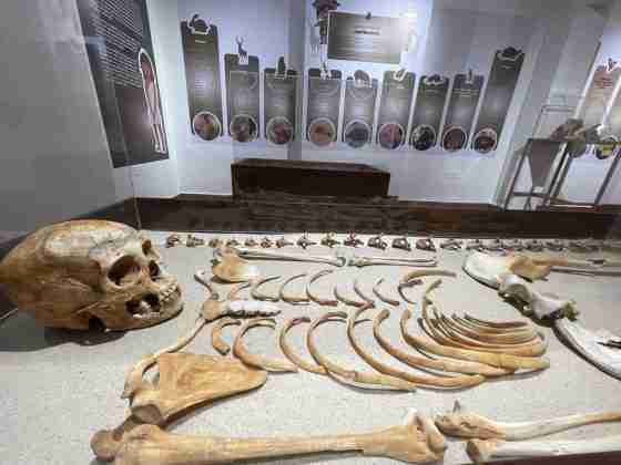 Museo de la Sierra Gorda invita a hacer un viaje en el tiempo 13 Sierra Gorda