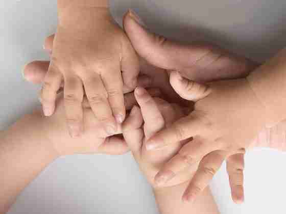 Inicia en Querétaro la Convocatoria de Adopciones 2024 15 Querétaro