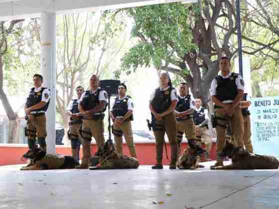 Se jubilan 8 elementos caninos del grupo K9 de la SSPM Querétaro 17 Querétaro