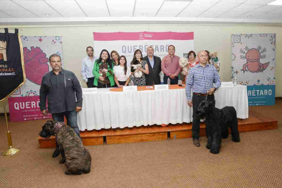 Regresa a Querétaro la Expo Canina Internacional 13 Querétaro