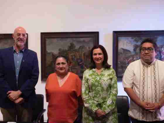 Museo de Arte de Querétaro invita a la exposición “Parábola Óptica” 15 Querétaro