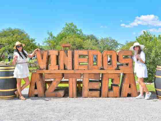 Alistan la vendimia más mexicana en Viñedos Azteca 17 Viñedos Azteca