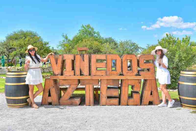 Viñedos Azteca