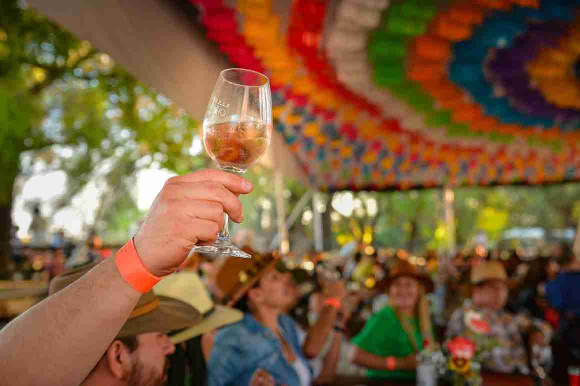Alistan la vendimia más mexicana en Viñedos Azteca 13 Viñedos Azteca