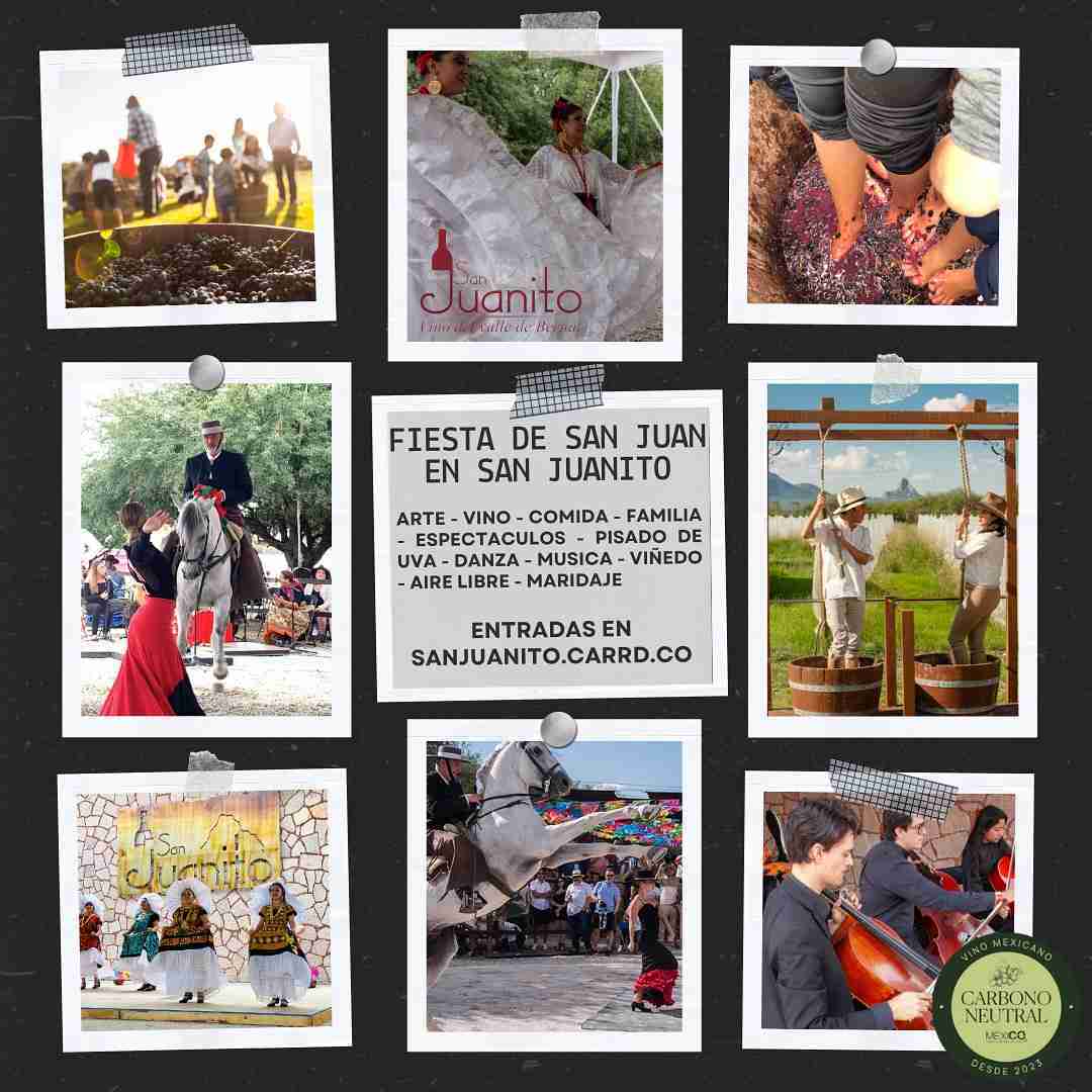 ¡Ya viene la fiesta de la vendimia de Viñedos San Juanito! 15 San Juanito