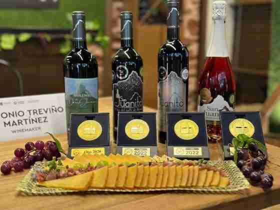 ¡Ya viene la fiesta de la vendimia de Viñedos San Juanito! 15 San Juanito