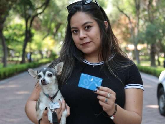 Anuncia AMEQ segunda Jornada Petfriendly 15 AMEQ