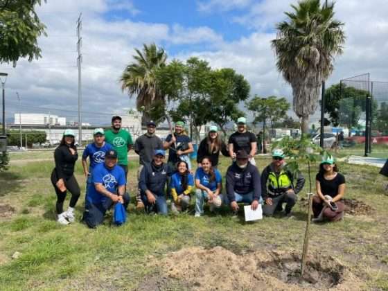Cambia tu recibo de la CEA a digital y ayuda a la plantación de árboles 13 CEA